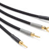 Shunyata Theta Speaker Cables
