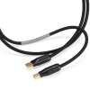Shunyata Theta Digital Cables
