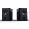 Perlisten R210s Subwoofer with Dual 10” Drivers