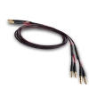 Audience OHNO III Speaker Cables