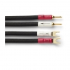 Shunyata Sigma Series Speaker Cables