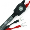 Wireworld Equinox 8 Speaker Cable